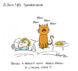 Réveil matou