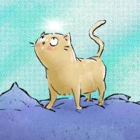 Chat m’attire !