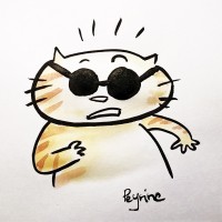 OMG cat
