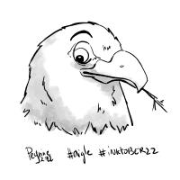 11-Aigle
