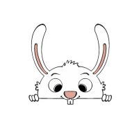 lapin coucou